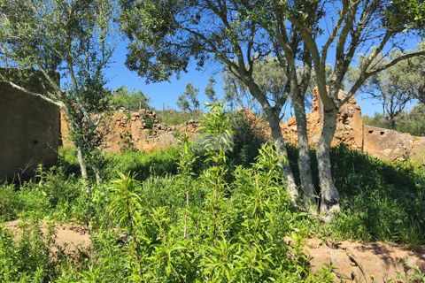 Farm hus i Lagos, Faro, Lagos - € 450.000 | Ref: R0097 - foto 6