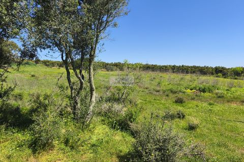 Farm hus i Lagos, Faro, Lagos - € 450.000 | Ref: R0097 - foto 8