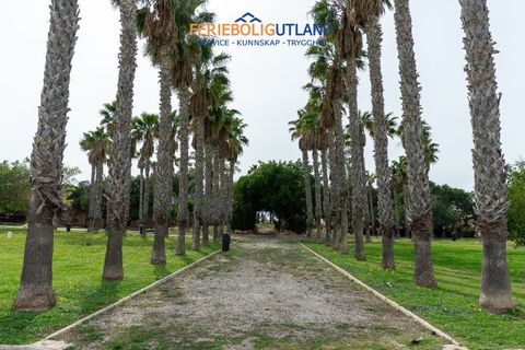 Villa a Torrevieja, Alicante, Torrevieja - € 290.000 | Ref: FBU20719 - foto 44