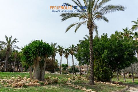 Villa a Torrevieja, Alicante, Torrevieja - € 290.000 | Ref: FBU20719 - foto 47