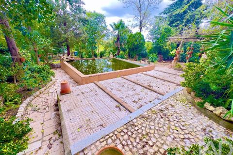 Helårsgrund i Serpa, Beja, Serpa - € 300.000 | Ref: 852526 - foto 2