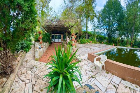 Helårsgrund i Serpa, Beja, Serpa - € 300.000 | Ref: 852526 - foto 3