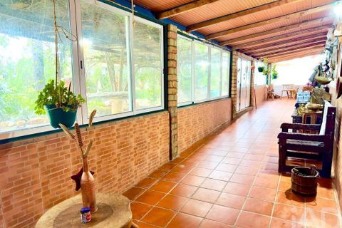 Helårsgrund i Serpa, Beja, Serpa - € 300.000 | Ref: 852526 - foto 6