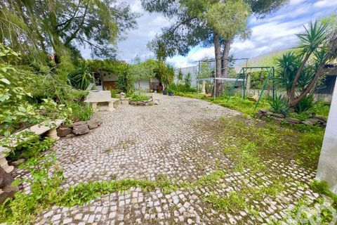 Helårsgrund i Serpa, Beja, Serpa - € 300.000 | Ref: 852526 - foto 20