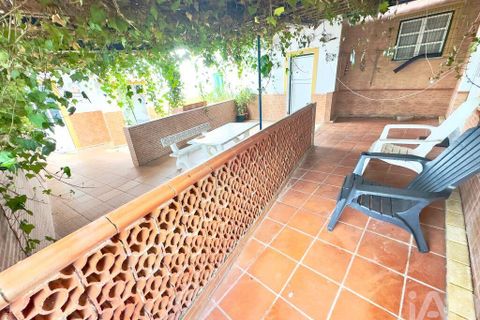 Helårsgrund i Serpa, Beja, Serpa - € 300.000 | Ref: 852526 - foto 23