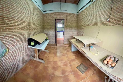 Helårsgrund i Serpa, Beja, Serpa - € 300.000 | Ref: 852526 - foto 27