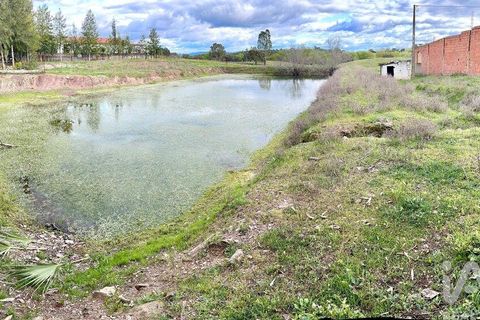 Helårsgrund i Serpa, Beja, Serpa - € 300.000 | Ref: 852526 - foto 30