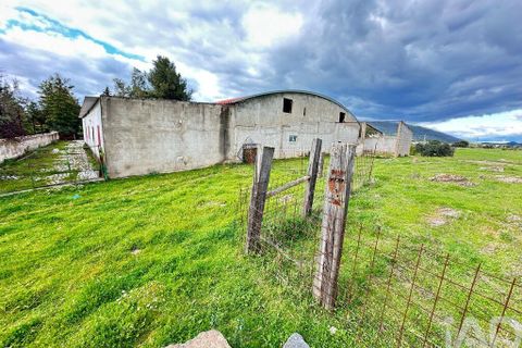 Helårsgrund i Serpa, Beja, Serpa - € 300.000 | Ref: 852526 - foto 33
