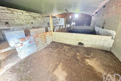 Helårsgrund i Serpa, Beja, Serpa - € 300.000 | Ref: 852526 - foto 35