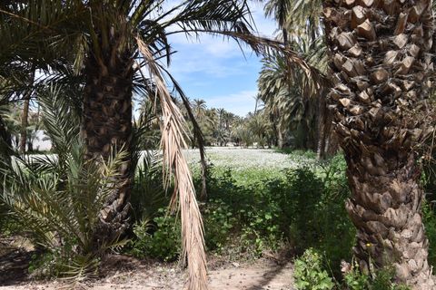Lejlighed i Elche, Alicante, Elche - € 174.000 | Ref: TORRETA/10946 - foto 15