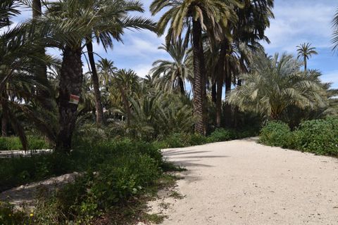 Lejlighed i Elche, Alicante, Elche - € 174.000 | Ref: TORRETA/10946 - foto 18