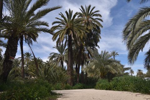 Lejlighed i Elche, Alicante, Elche - € 174.000 | Ref: TORRETA/10946 - foto 19