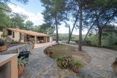 Villa i Tibi, Alicante, Tibi - € 365.000 | Ref: 1451e9db-4047-4126-b - foto 49