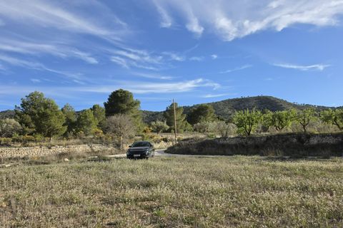 Terra a Monovar, Alicante, Monovar - € 14.995 | Ref: 1013 - foto 17