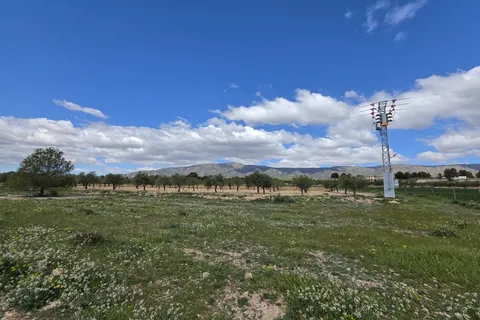 Grond in Monovar, Alicante, Monovar - € 6.000 | Ref: 1011 - foto 7