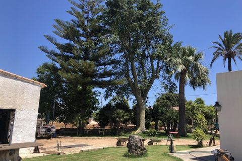Landejendom i Ondara, Alicante, Ondara - € 368.000 | Ref: RSM 958 - foto 10