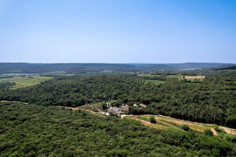 Villa i Saint-Michel-d'Euzet, Gard, Saint-Michel-d'Euzet - € 997.000 | Ref: HH-16118220 - foto 2
