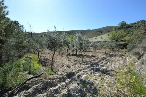 Landejendom i Lubrin, Almeria, Lubrin - € 140.000 | Ref: OLV2155 - foto 12