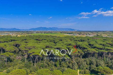 Villa i Pisa, Pisa, Pisa - € 1.500.000 | Ref: 5967 - foto 22