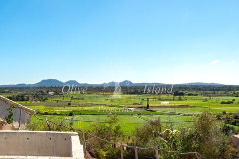 Landsbyhus i Santa Eugenia, Mallorca, Santa Eugenia - € 3.200.000 | Ref: SE614 - foto 9