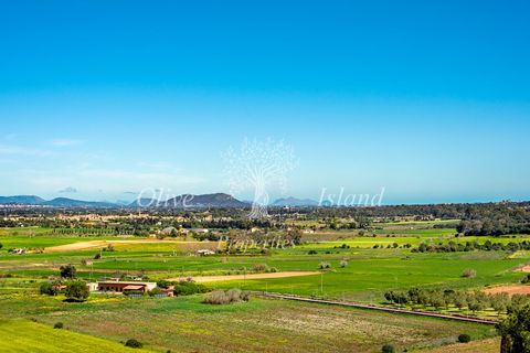 Landsbyhus i Santa Eugenia, Mallorca, Santa Eugenia - € 3.200.000 | Ref: SE614 - foto 13