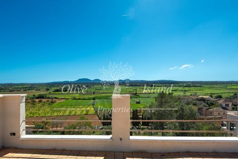 Landsbyhus i Santa Eugenia, Mallorca, Santa Eugenia - € 3.200.000 | Ref: SE614 - foto 18