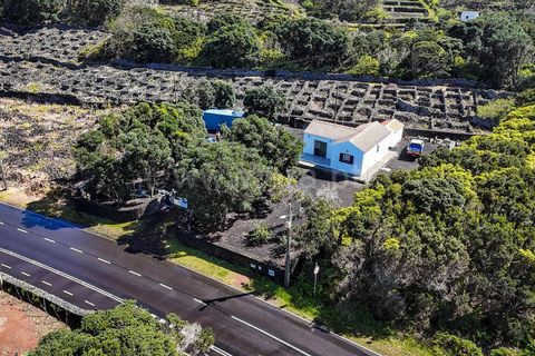 Villa a Madalena, Pico, Madalena - € 265.000 | Ref: 374260055 - foto 6