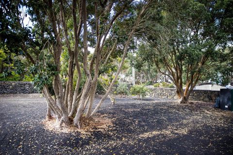 Villa a Madalena, Pico, Madalena - € 265.000 | Ref: 374260055 - foto 12