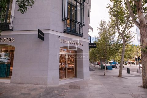 Lejlighed i Madrid, Madrid, Madrid - € 3.350.000 | Ref: MAD67399 - foto 15