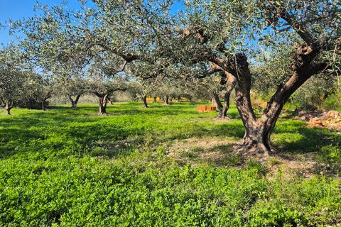 Villa i Ontinyent, Valencia, Ontinyent - € 250.000 | Ref: LOSDH3546 - foto 31