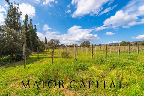 Villa em Berchidda, Sassari, Berchidda - € 289.000 | Ref: BEV-01-26 - foto 44