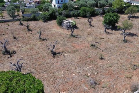 Terra a Nardo, Lecce, Nardo - € 80.000 | Ref: NRD232701 - foto 2
