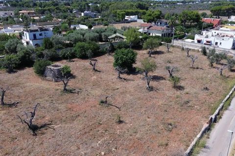 Terra a Nardo, Lecce, Nardo - € 80.000 | Ref: NRD232701 - foto 3