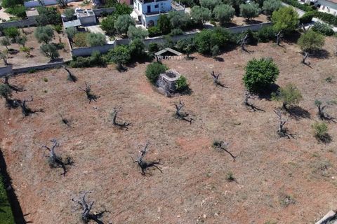 Terra a Nardo, Lecce, Nardo - € 80.000 | Ref: NRD232701 - foto 4