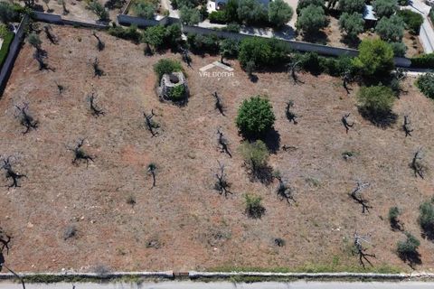 Terra a Nardo, Lecce, Nardo - € 80.000 | Ref: NRD232701 - foto 5