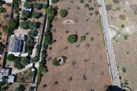 Terra a Nardo, Lecce, Nardo - € 80.000 | Ref: NRD232701 - foto 7