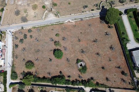 Terra a Nardo, Lecce, Nardo - € 80.000 | Ref: NRD232701 - foto 9