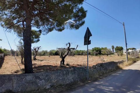 Terra a Nardo, Lecce, Nardo - € 80.000 | Ref: NRD232701 - foto 10