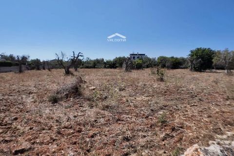 Terra a Nardo, Lecce, Nardo - € 80.000 | Ref: NRD232701 - foto 12