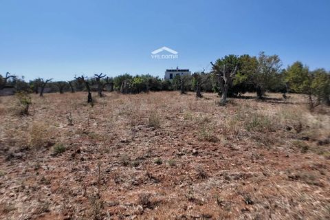 Terra a Nardo, Lecce, Nardo - € 80.000 | Ref: NRD232701 - foto 13