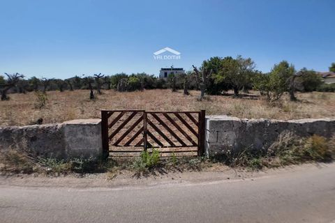 Terra a Nardo, Lecce, Nardo - € 80.000 | Ref: NRD232701 - foto 14