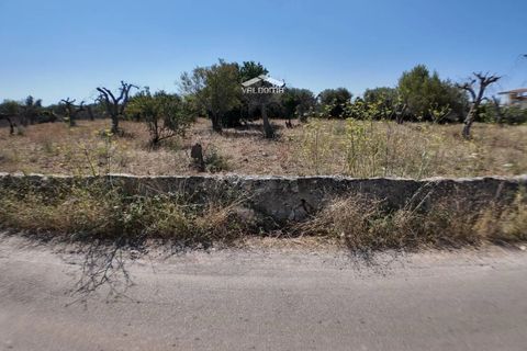 Terra a Nardo, Lecce, Nardo - € 80.000 | Ref: NRD232701 - foto 15