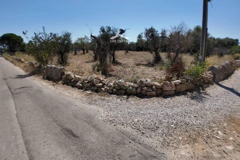 Terra a Nardo, Lecce, Nardo - € 80.000 | Ref: NRD232701 - foto 16