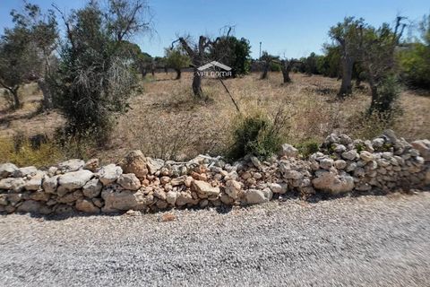 Terra a Nardo, Lecce, Nardo - € 80.000 | Ref: NRD232701 - foto 17