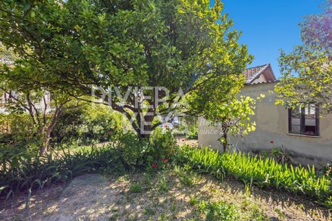 Villa i Nice, Alpes-Maritimes, Nice - € 1.780.000 | Ref: 86644849 - foto 5