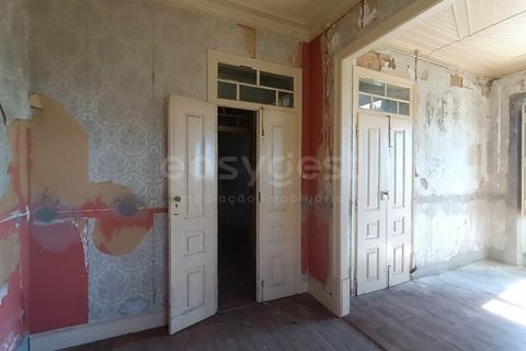 Villa a Mouriscas, Santarem, Mouriscas - € 244.000 | Ref: TM98896 - foto 25