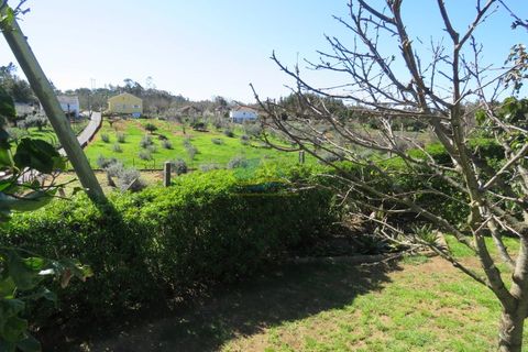Farm hus i Serta, Castelo Branco, Serta - € 300.000 | Ref: ko2717 - foto 4
