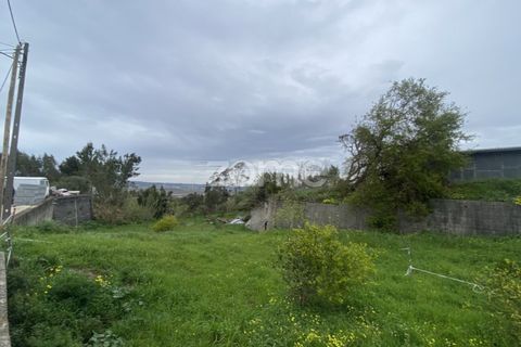 Terra a Alqueidao, Coimbra, Alqueidao - € 115.000 | Ref: ZMPT586856 - foto 2