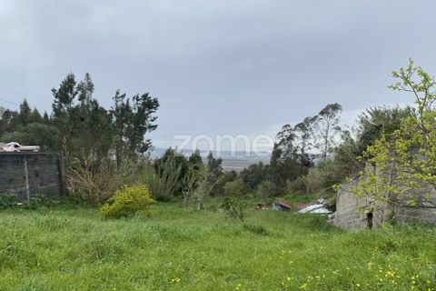 Terra a Alqueidao, Coimbra, Alqueidao - € 115.000 | Ref: ZMPT586856 - foto 3