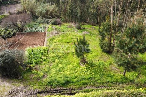 Terra a Alqueidao, Coimbra, Alqueidao - € 115.000 | Ref: ZMPT586856 - foto 4